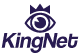 監視器安裝,監視器推薦-台灣監控 KingNet 