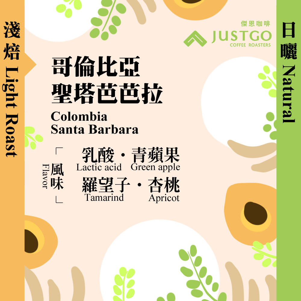 淺焙 哥倫比亞聖塔芭芭拉 日曬 傑恩咖啡just Go Coffee